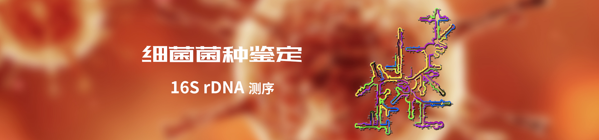 示例图片